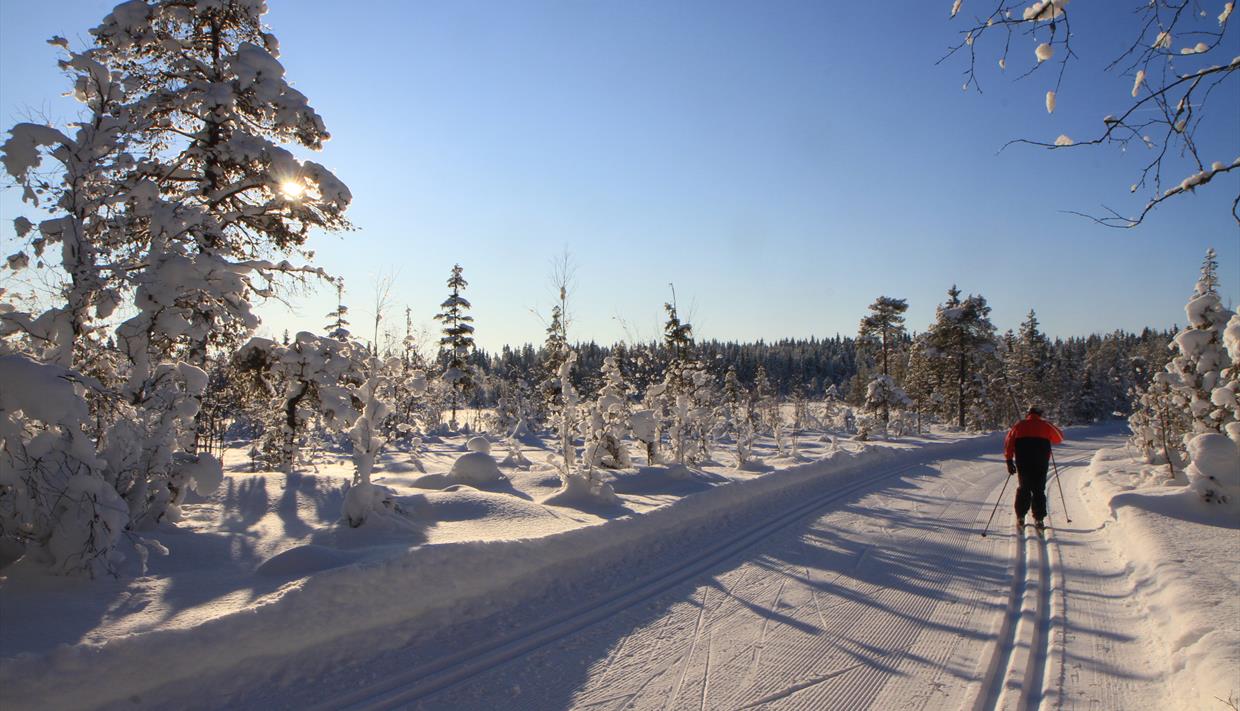 The Olympic trails (17,7 km) Crosscountry skiing in Lillehammer